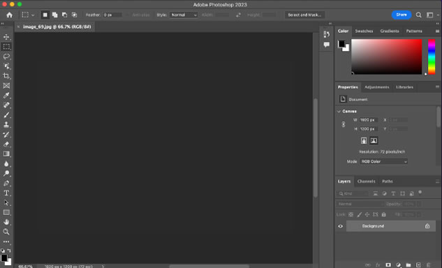 Adobe2