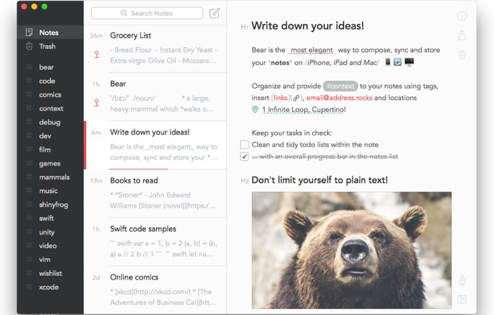 Bear