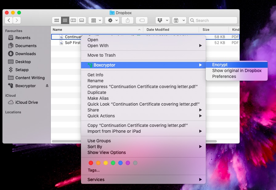 Boxcryptor File Encrypt