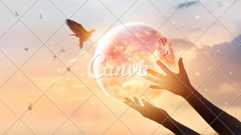 canva
