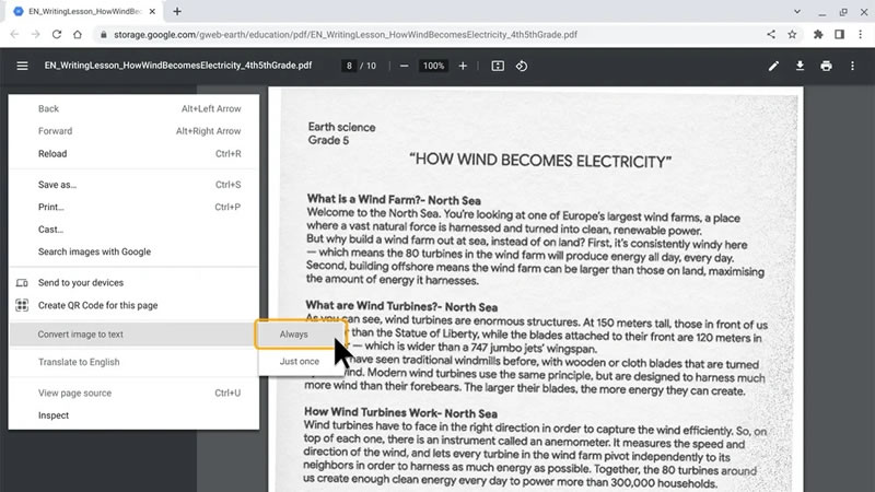 Chrome PDF