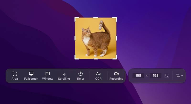 CleanShot X: The Mac Tool to Perfect Screenshots Every Time