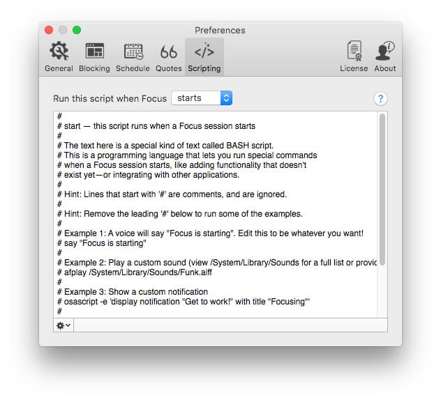 Focus Scripting