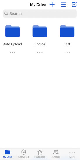 Icedrive iphone