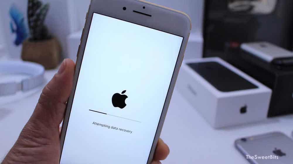 iphone data recovery