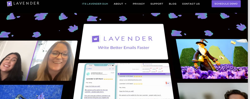 lavender
