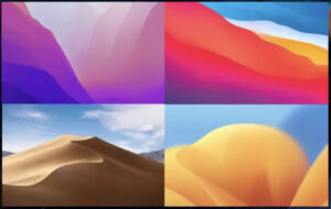 macos version