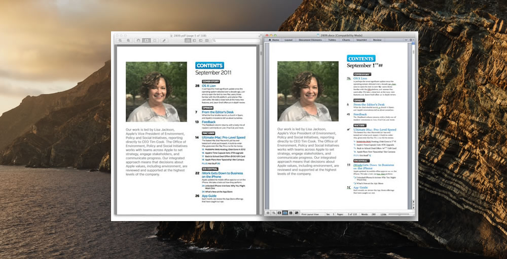 pdf word compare