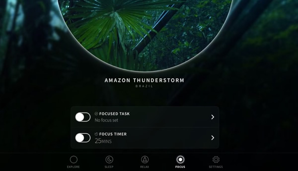 portal