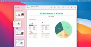 preview pdftoword5