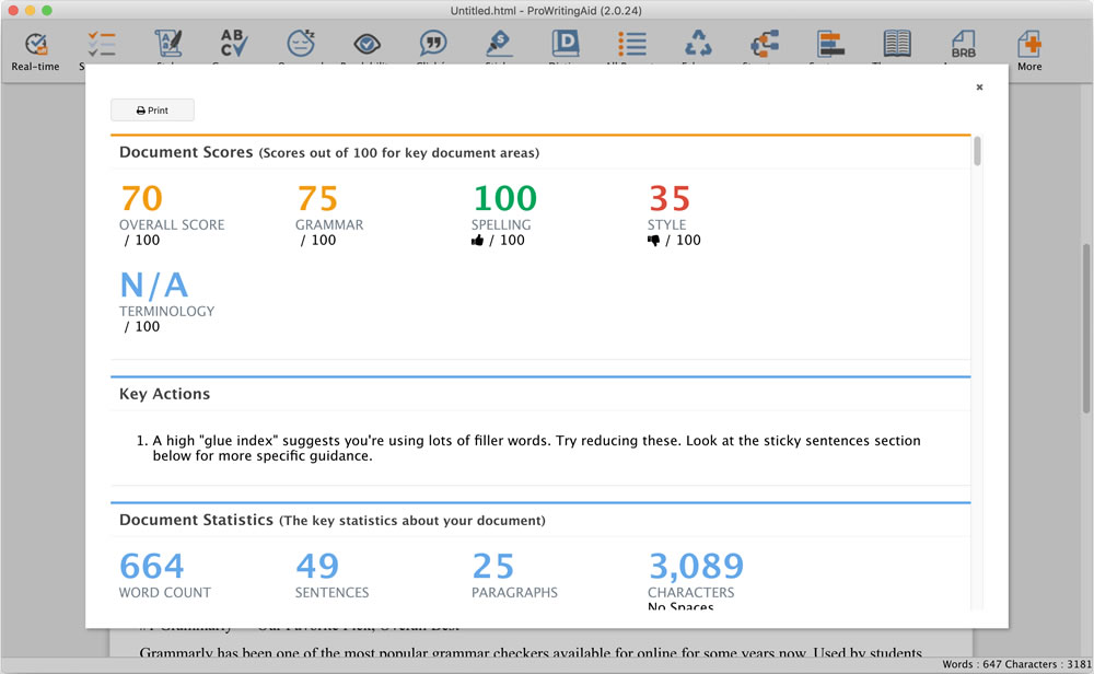 ProWritingAid Report