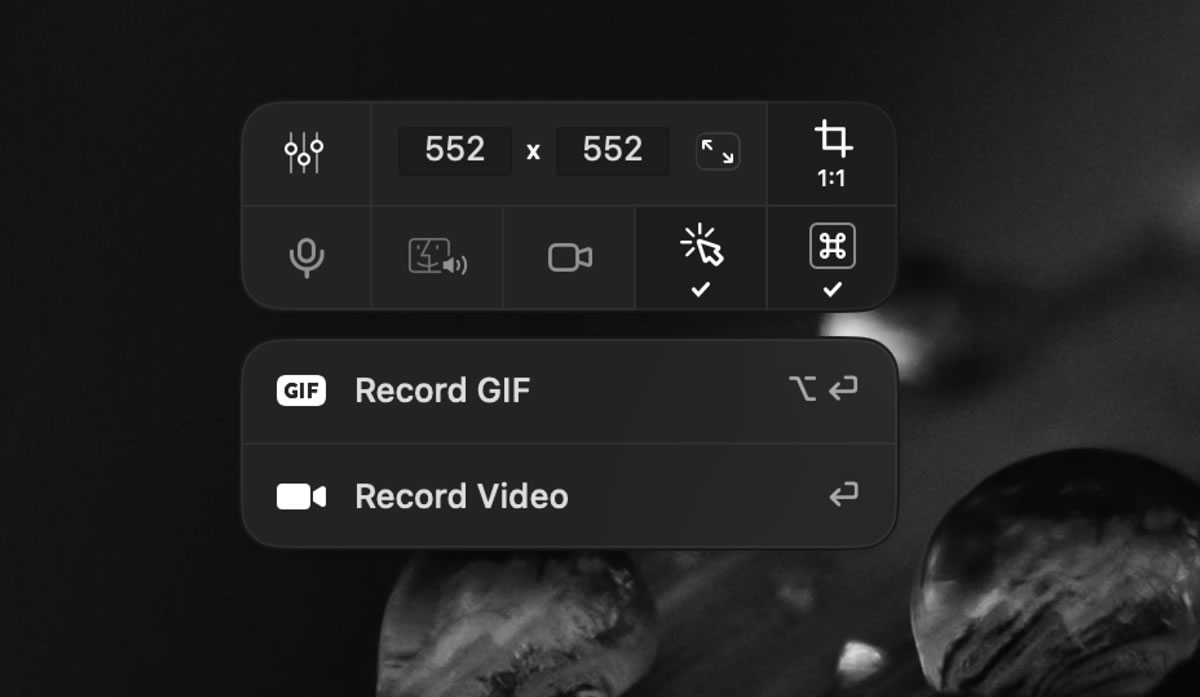 record options