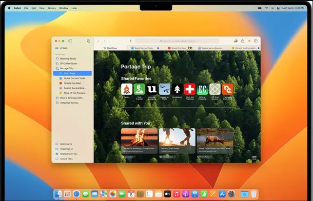 safari