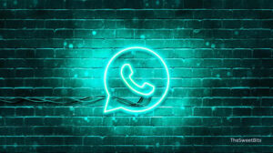 whatsapp recovery