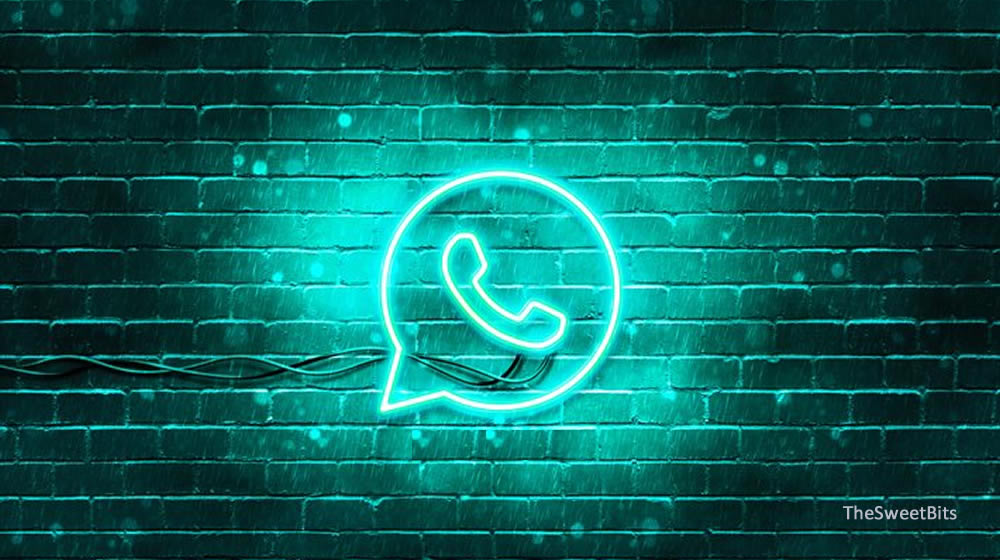 whatsapp recovery