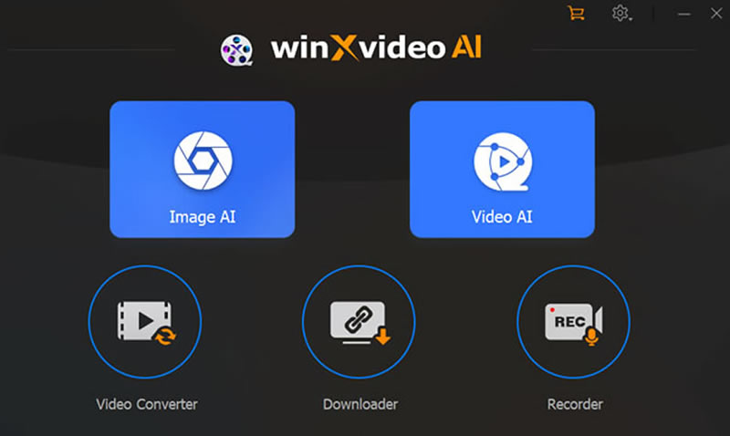 Winxvideo AI: Convert and Upscale Videos/Images Effortlessly