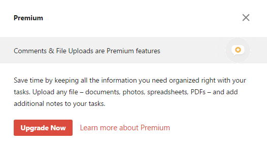 Todoist paid